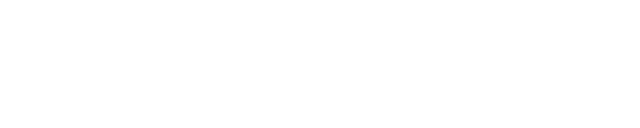 INDIGO Consultoría SEO